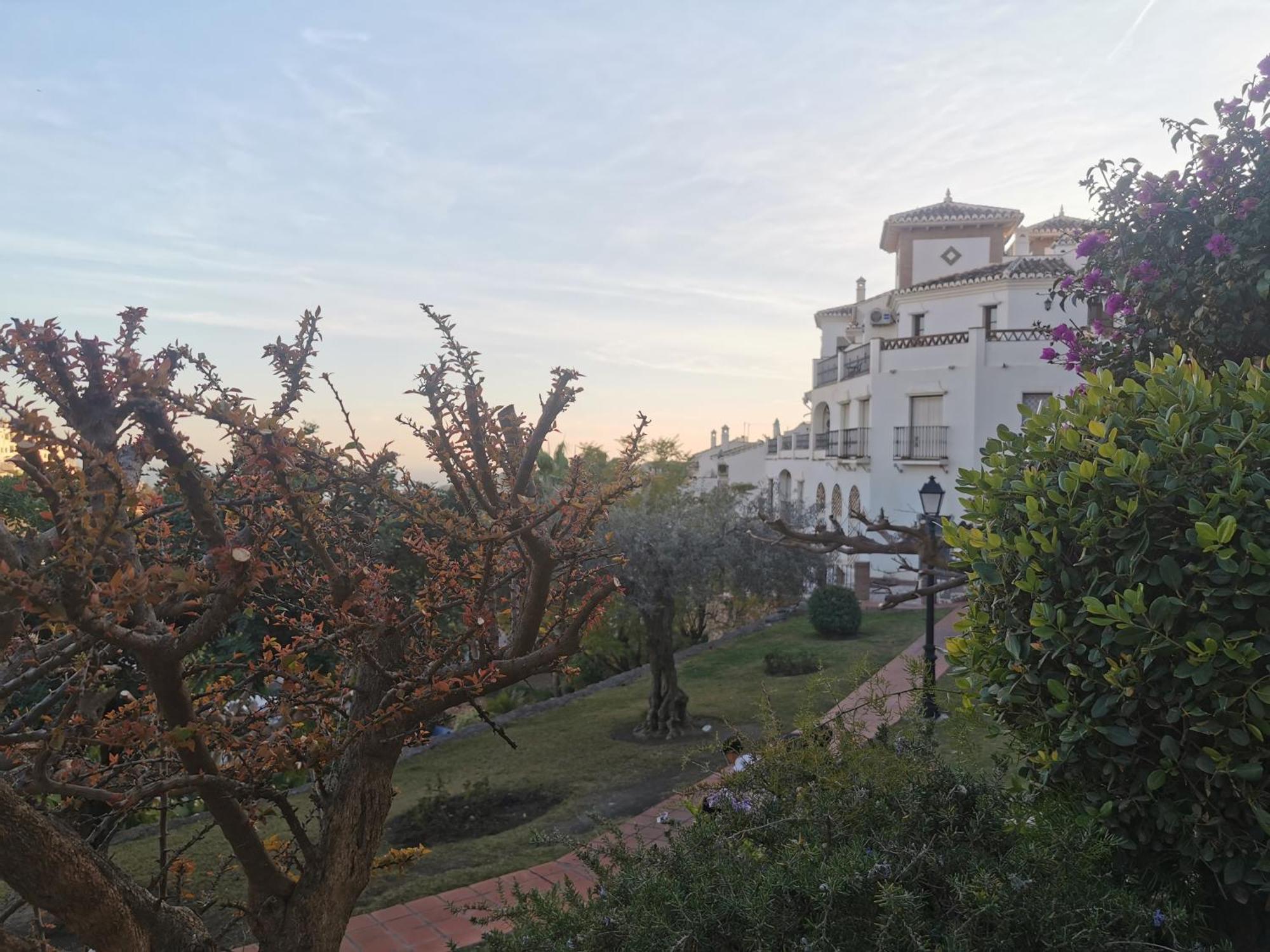 Apartamento Maria Platero Centrico Y Con Las Mejores Vistas Del Casco Antiguo La Montana Y El Mar Mediterraneo フリヒリアナ エクステリア 写真
